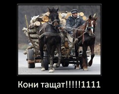 Кони тащат!!!!!!!!1111
