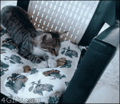 gifs 16