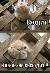 J2QeRlt3NNk