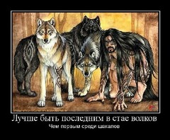 памперсам привет)