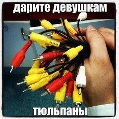 9qMtRVnUwg0