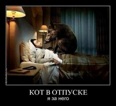 ц