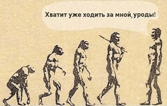 эволюция