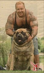 1329137543 dog2