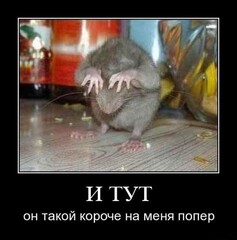 X 69cd36fe