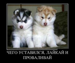 Ну же