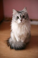 ^^