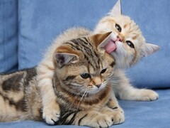 ^^