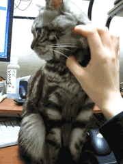 ^^