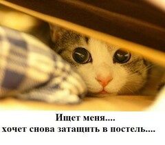 миу