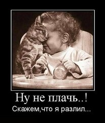 котейко
