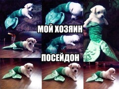 гы