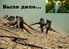 14CnohTLPlw