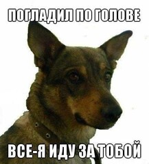 Вуф вуф