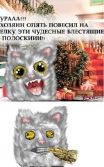 :3