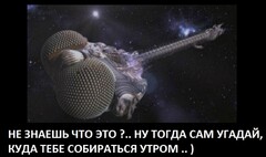 ))