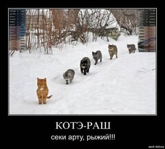 JCZCvnmLKRo