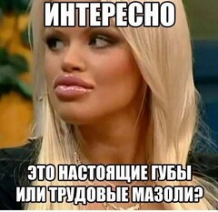 s8WNkbJu8k