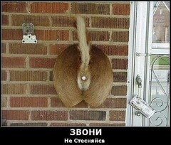 lGxRVLJb2H8