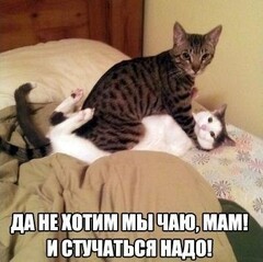 Стучаться надо