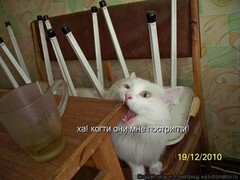 ррр