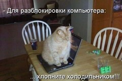 КОТЭ пасворД)))
