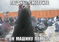 иногда кажется что они и правда так делают((