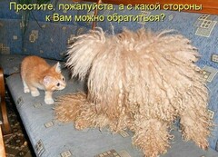 zxvzxvzxv