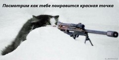 месть )