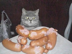 Я попробовал, есть можно =)