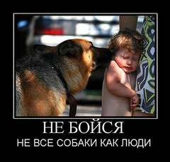 Реальность..