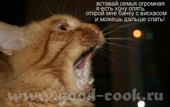 у меня так каждое утро