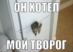 zVdSX9YTN8Q