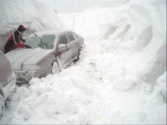 1234015317 snow 48