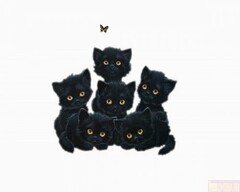 1227981609 83946851476ff4d5649f6