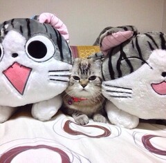 Зажали