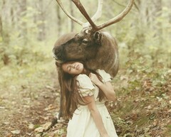 Олень