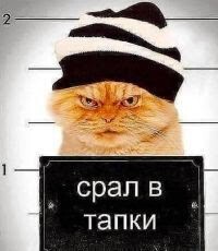 Котэ