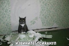 Психанул
