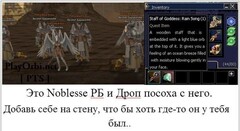 194.jpg