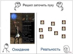 195.jpg