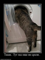 demotivatory Cat F It ru149