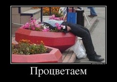 1335819333 2352206 zhizn V rossii protsvetaet