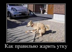 Жарим Утку =)
