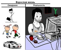 RfXW3NKtpGY
