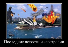 480457 poslednie novosti Iz avstralii demotivators Ru