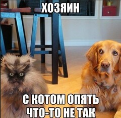 :3
