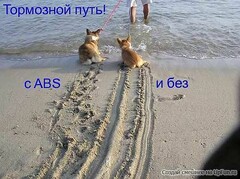 getImage