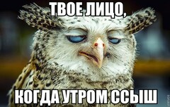 BNRUsg534Bg