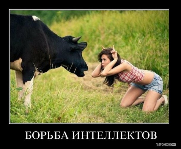 post-122923-0-85835500-1334308491_thumb.